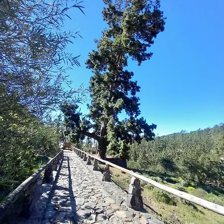 Apto. Pina De Mar 아파트 아데제