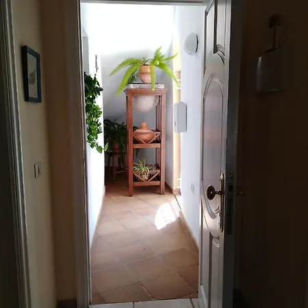 Apto. Pina De Mar 아파트 아데제