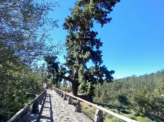 Apto. Pina De Mar Apartamento Costa Adeje (Tenerife)