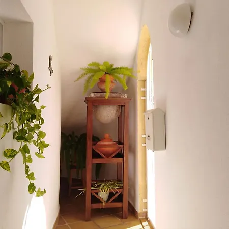 Apto. Pina De Mar * Costa Adeje (Tenerife)