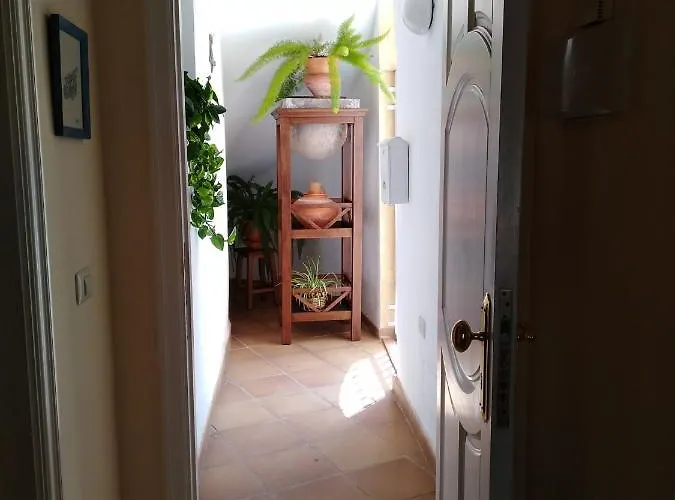 Apto. Pina De Mar Apartment Costa Adeje (Tenerife)